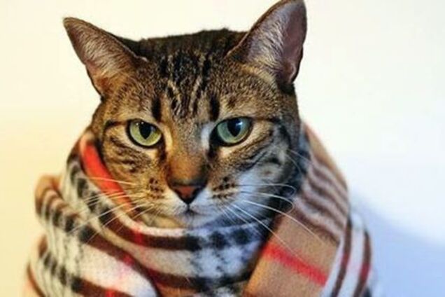 ''Уволено 16 человек'': в КГГА объяснили, как наказали виновных в срыве отопительного сезона