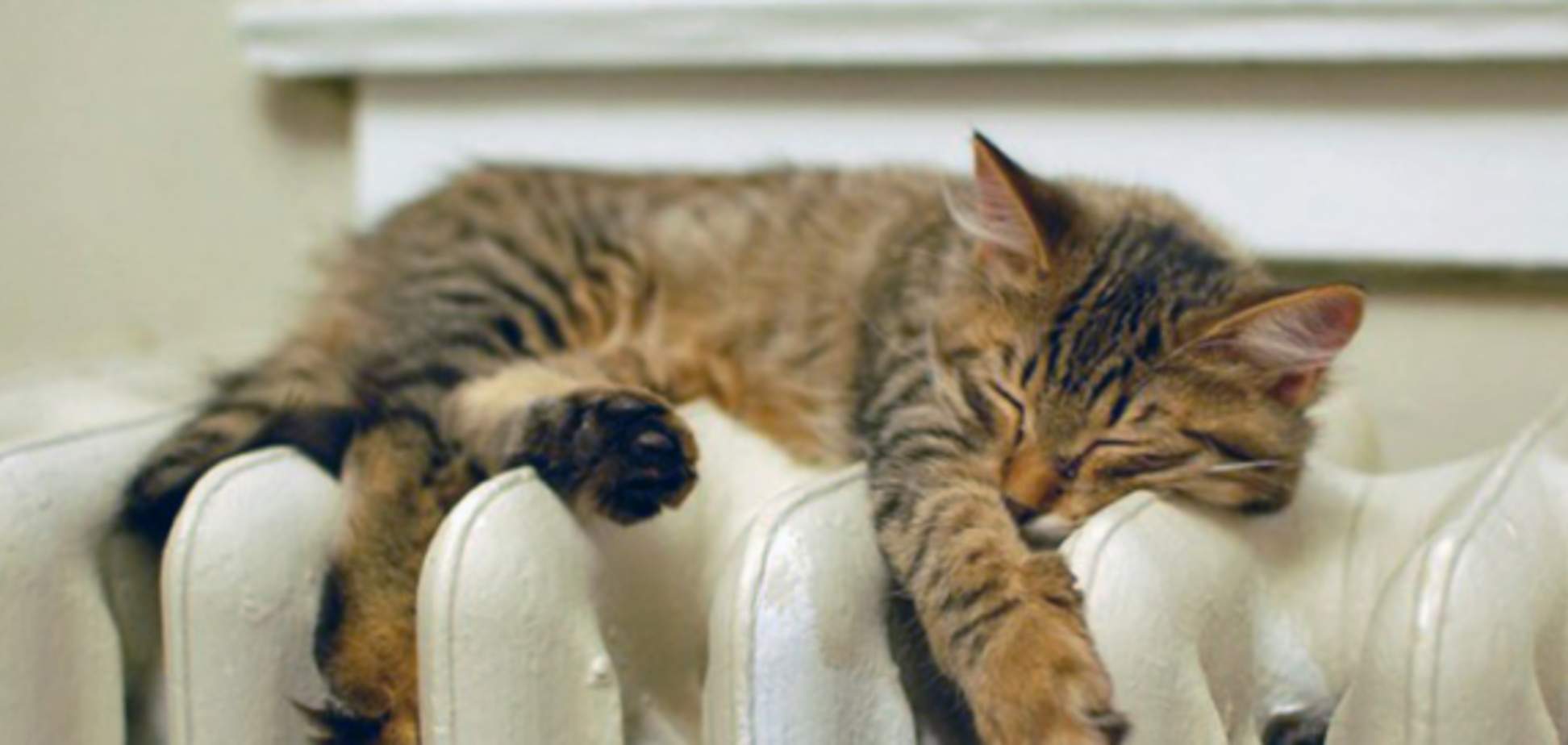 Опалювальний сезон на старті: у 'Нафтогазі' відзвітували про готовність