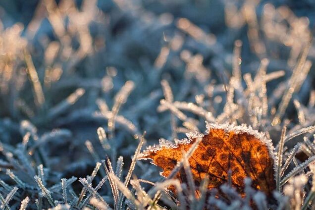 В Україну йдуть заморозки: синоптики уточнили прогноз погоди
