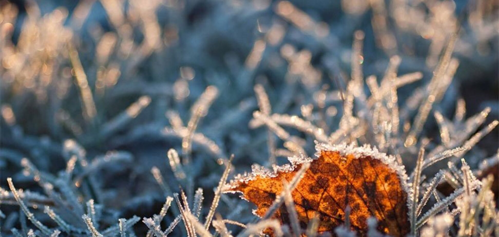 В Україну йдуть заморозки: синоптики уточнили прогноз погоди