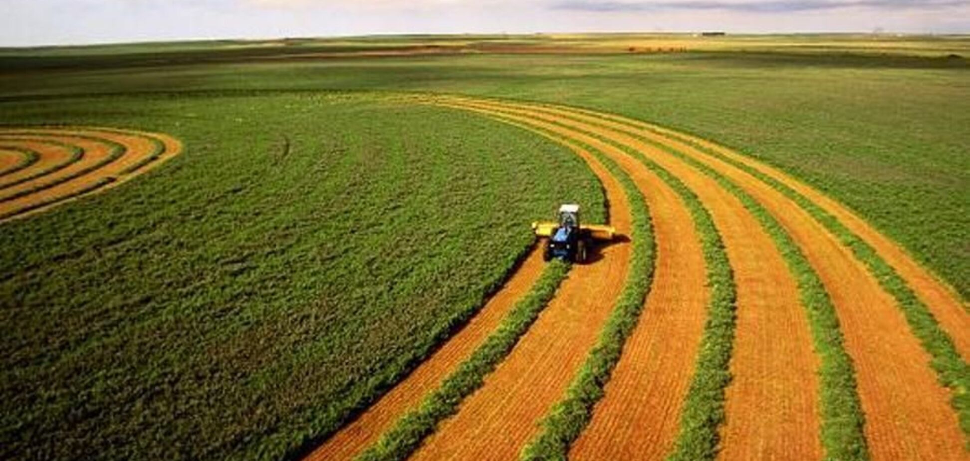 Экс-министр АПК раскритиковал систему программ господдержки