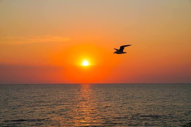Люди и мелочи: фотограф показал необычные снимки Одессы