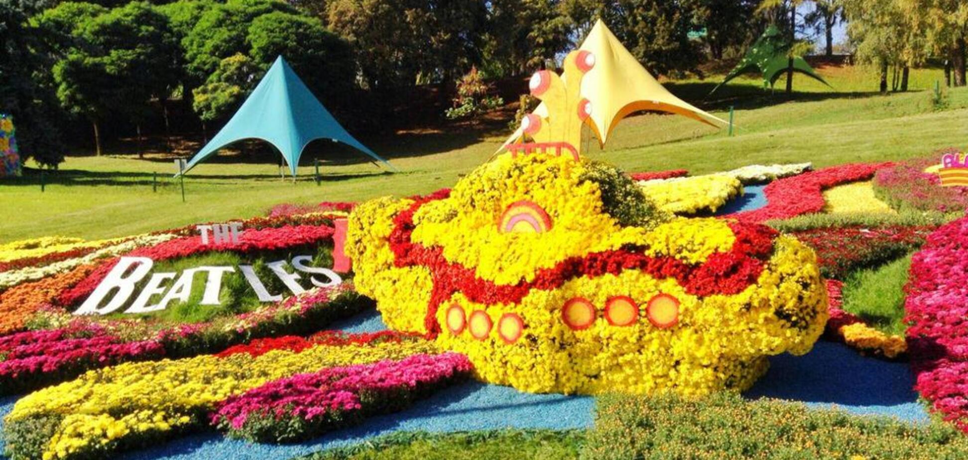 На Певческом поле в Киеве открылась выставка хризантем