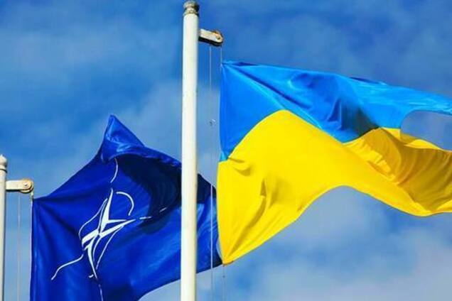 Вопрос о курсе в НАТО должен решаться на всеукраинском референдуме – Николаенко 