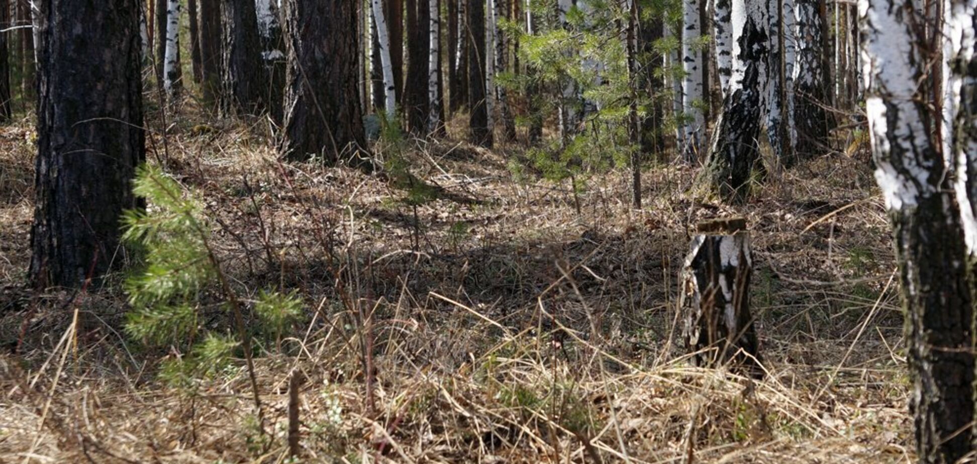В Запорожской области нашли полуобнажённый труп пенсионерки