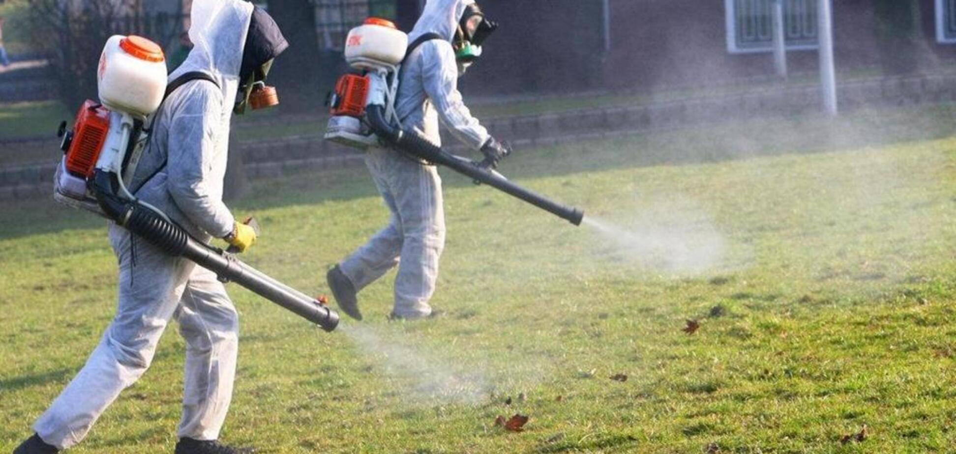 ''Они везде!'' Британию испугало массовое нашествие насекомых