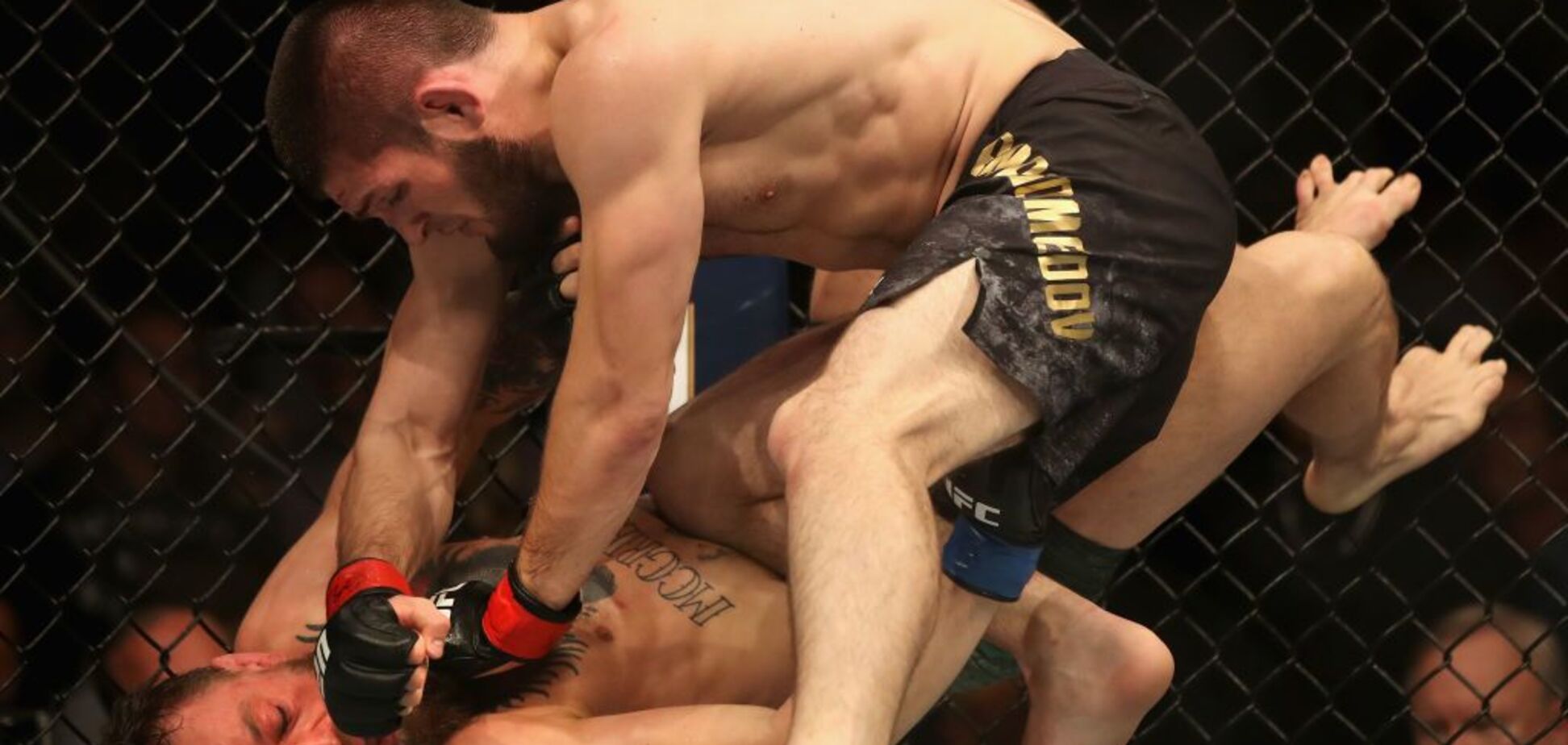Нурмагомедов задушил МакГрегора в бою десятилетия UFC