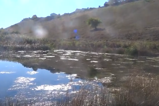 Крымваш: куда ни ступни, все загажено