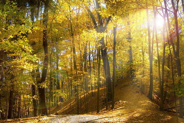 В Україну прийшов антициклон: синоптик дала прогноз погоди