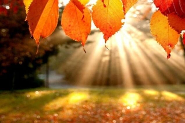 У Київ прийшло потепління: синоптики уточнили прогноз до кінця тижня