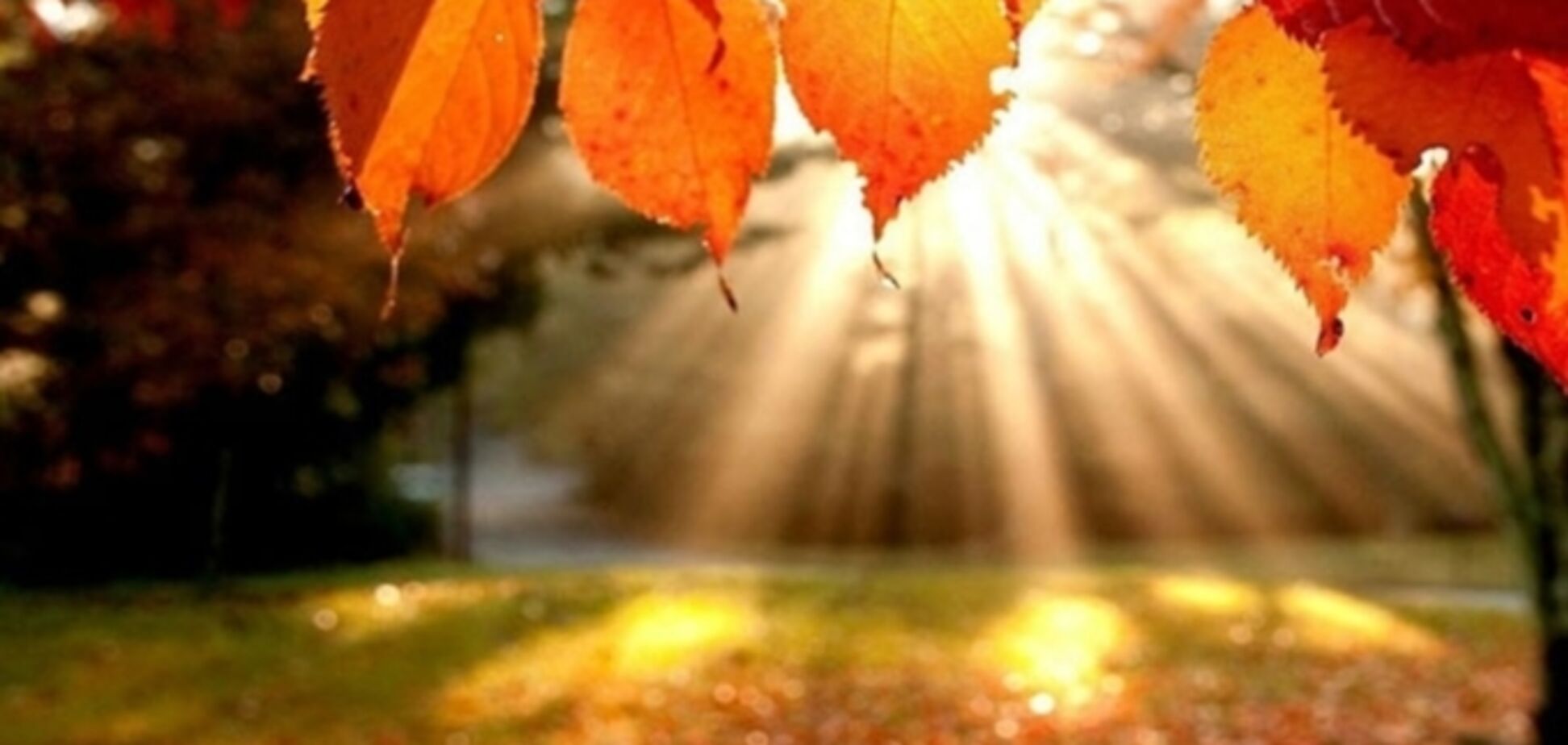 У Київ прийшло потепління: синоптики уточнили прогноз до кінця тижня