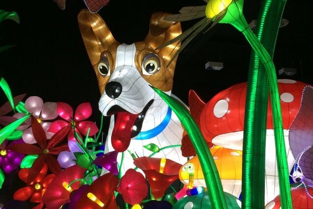 Почему к нам не едут международные выставки