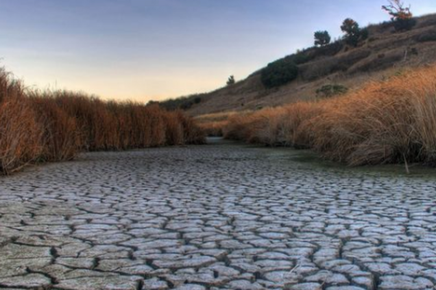 Справжня зима зникне: Україні напророкували кліматичні аномалії
