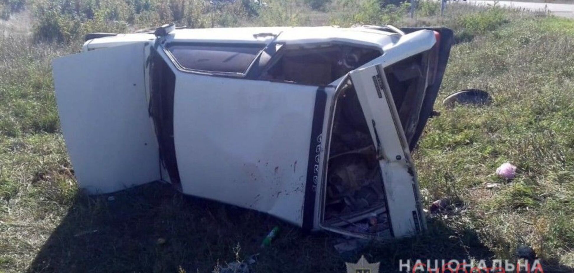 В Запорожской области результате жуткой аварии пострадали 5 человек 