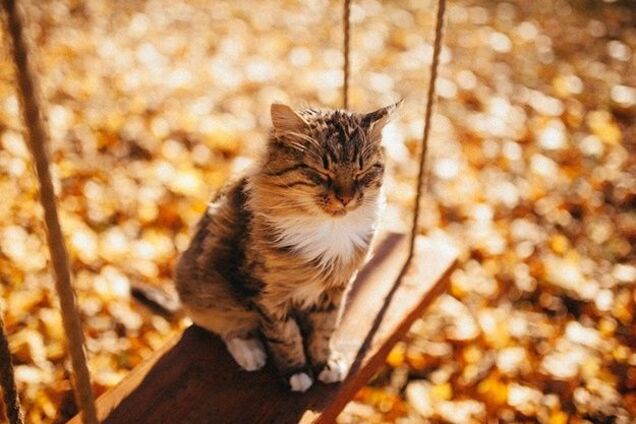 ''Доставайте штаны с начесом'': синоптик уточнила прогноз погоды в Украине