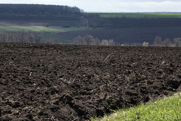 Отмена моратория на землю: Украине указали на однозначную выгоду