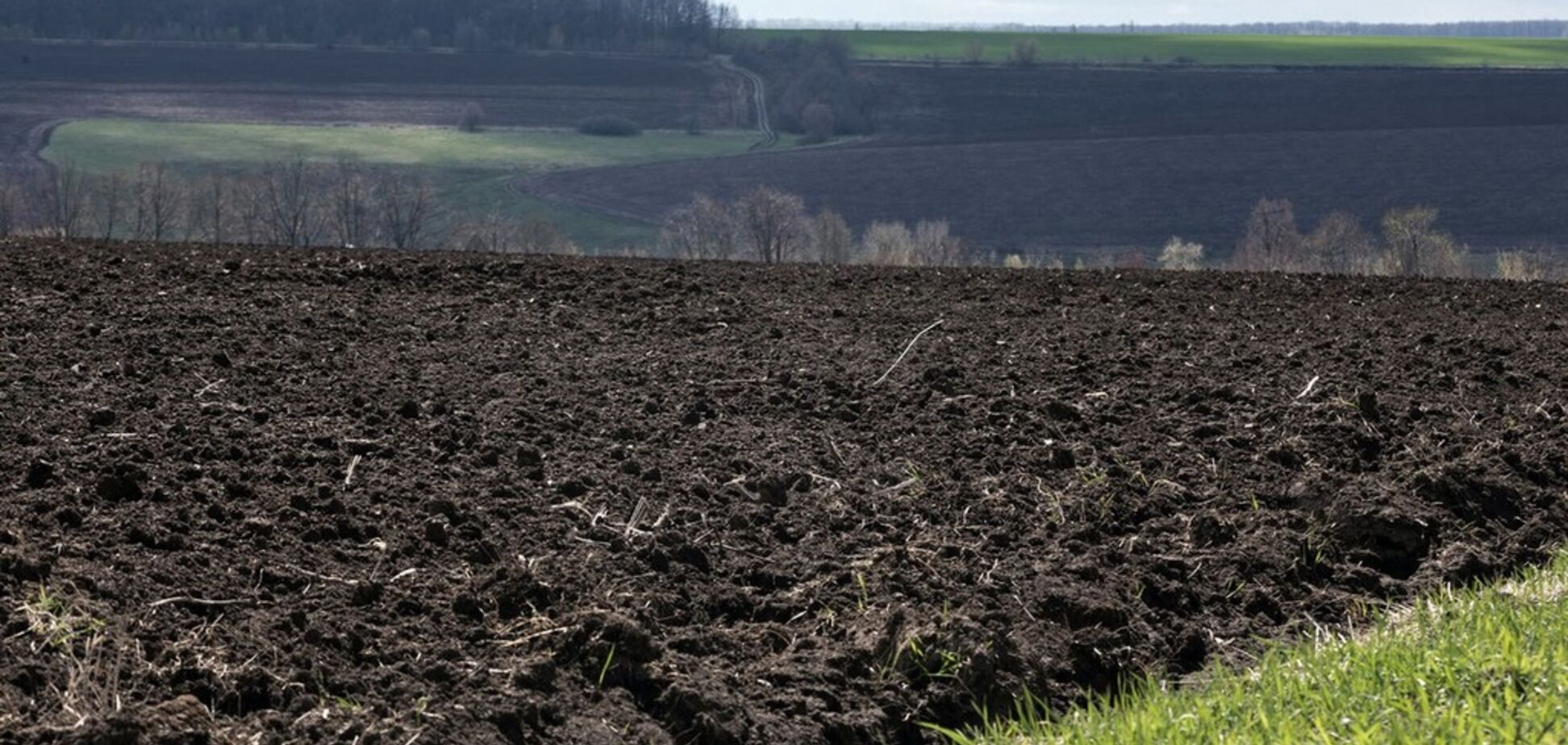 Мораторій на продаж землі в Україні: у Світовому банку сказали, хто його стримує