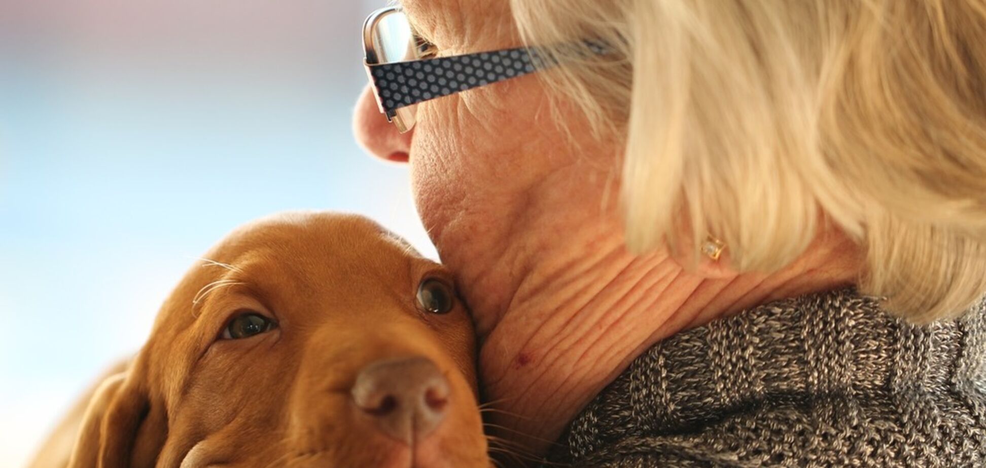 Пенсія в Україні