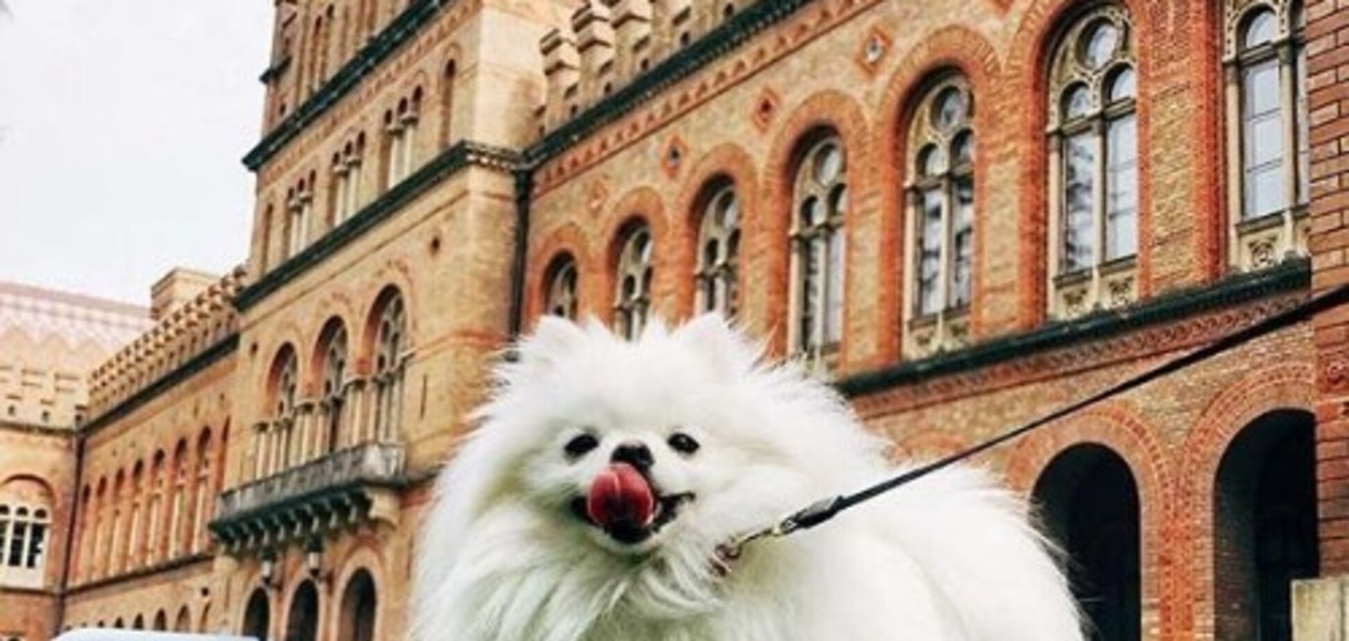 Осенние Черновцы: опубликованы красочные фото