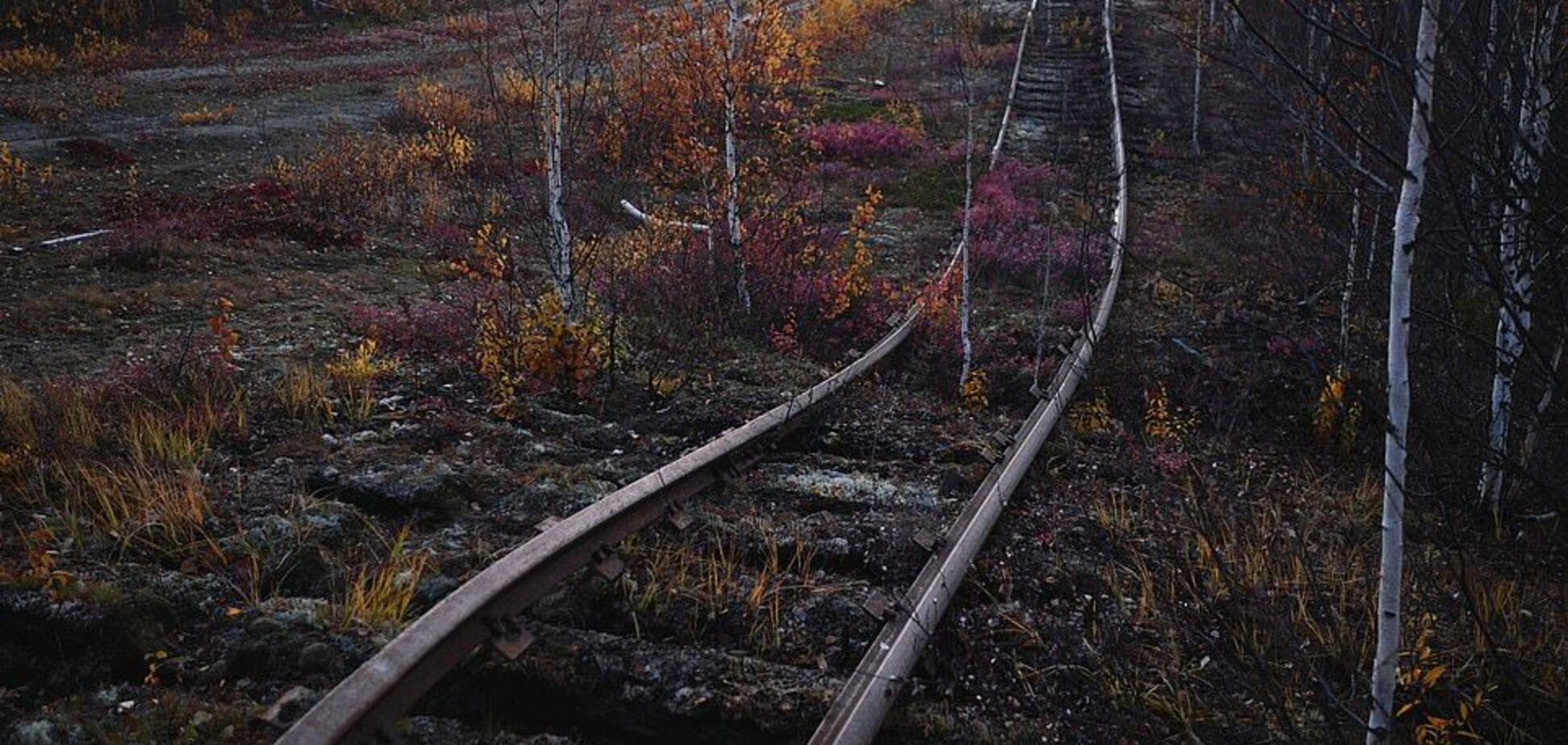 Погребла тысячи узников ГУЛАГа: фотограф показал пугающие снимки с ''дороги смерти'' Сталина