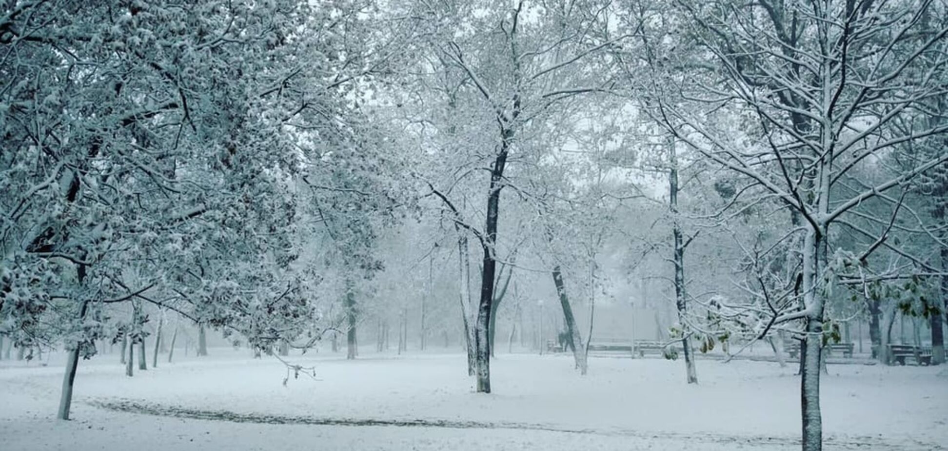 В Крыму выпал первый снег: появились фото 