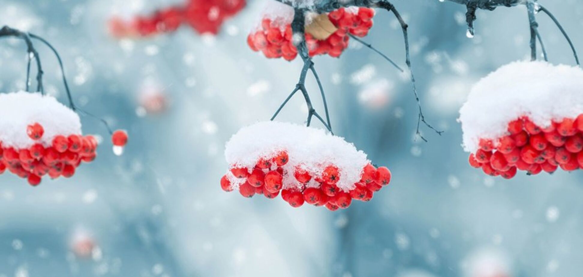 Снег и мороз до -10: синоптики предупредили об ухудшении погоды в Украине