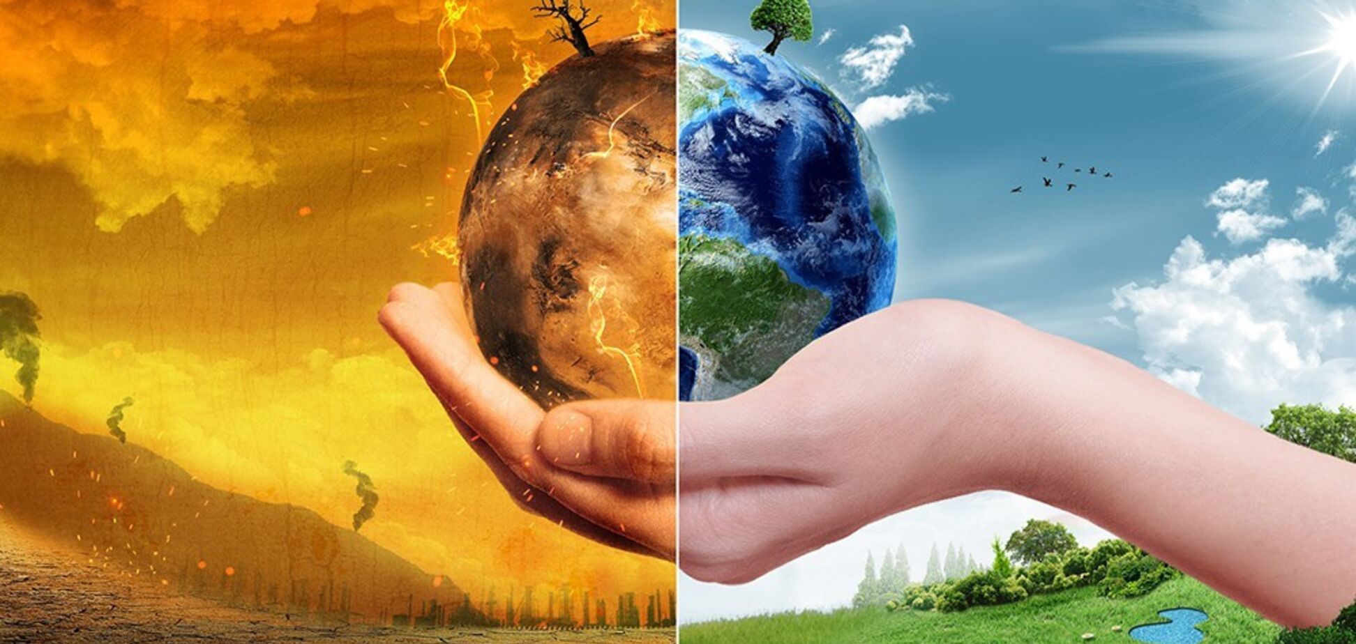 Настоящей зимы не будет: часть Украины начала превращаться в тропики