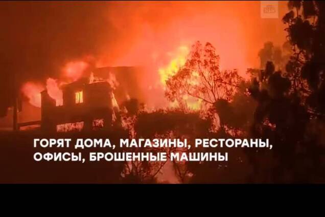 Одичалые: очередное дно русских СМИ