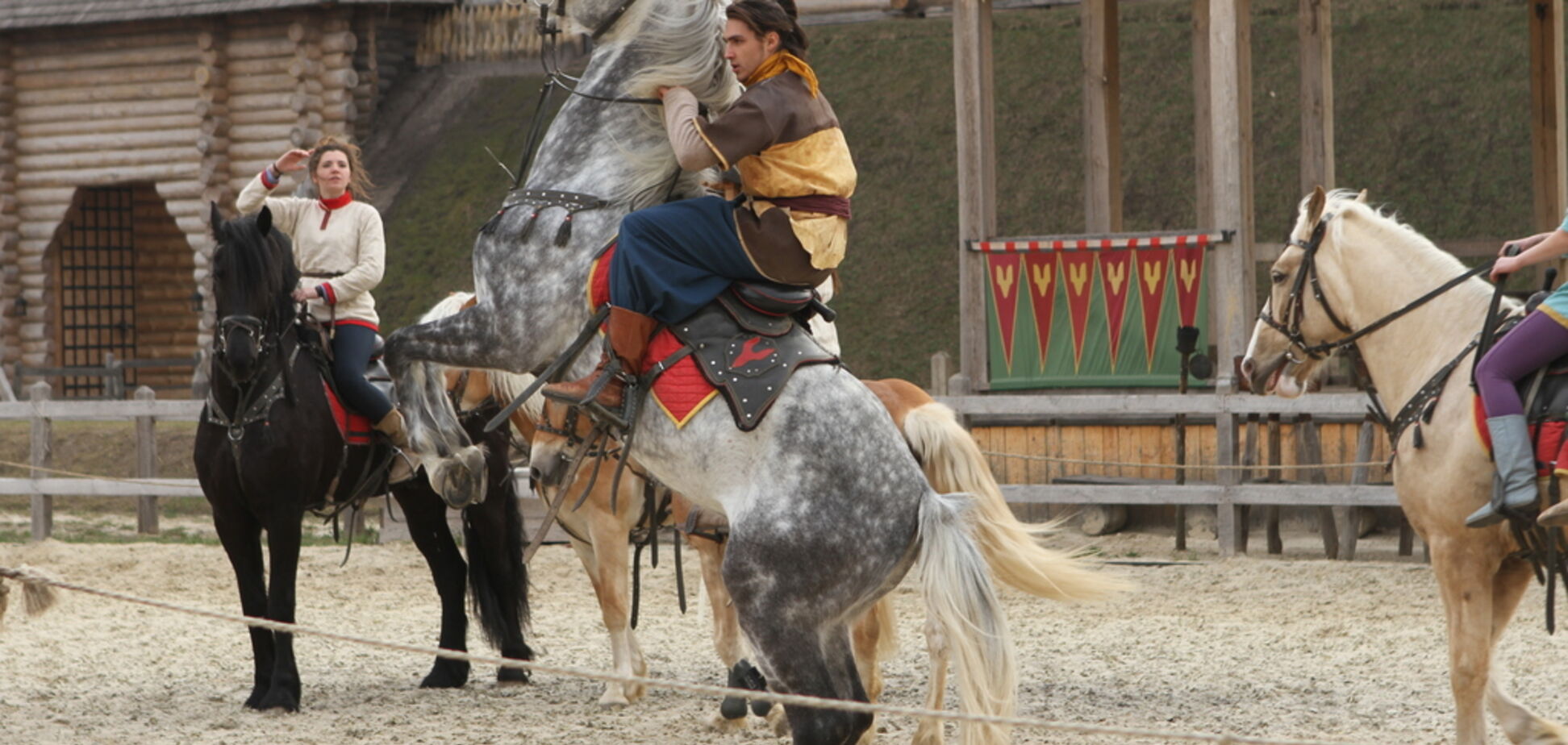 Шоу-выставка 'Мир лошадей' 17-18 ноября