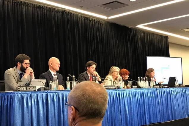 Женщин — на Донбасс: Геращенко выступила с резонансным предложением