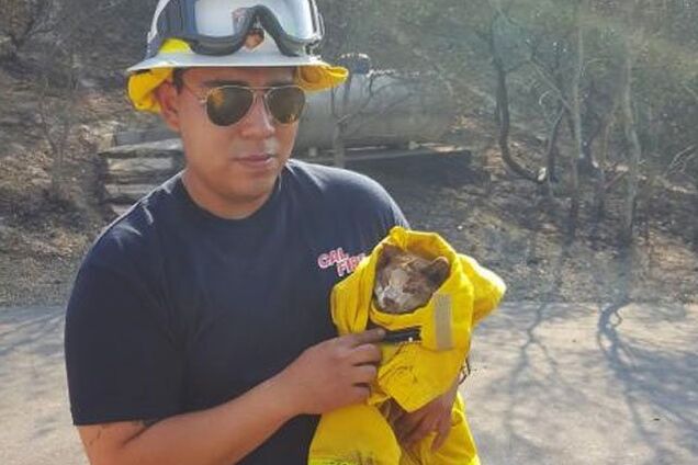 Пламя не щадит никого: спасатели США поделились трогательными фото