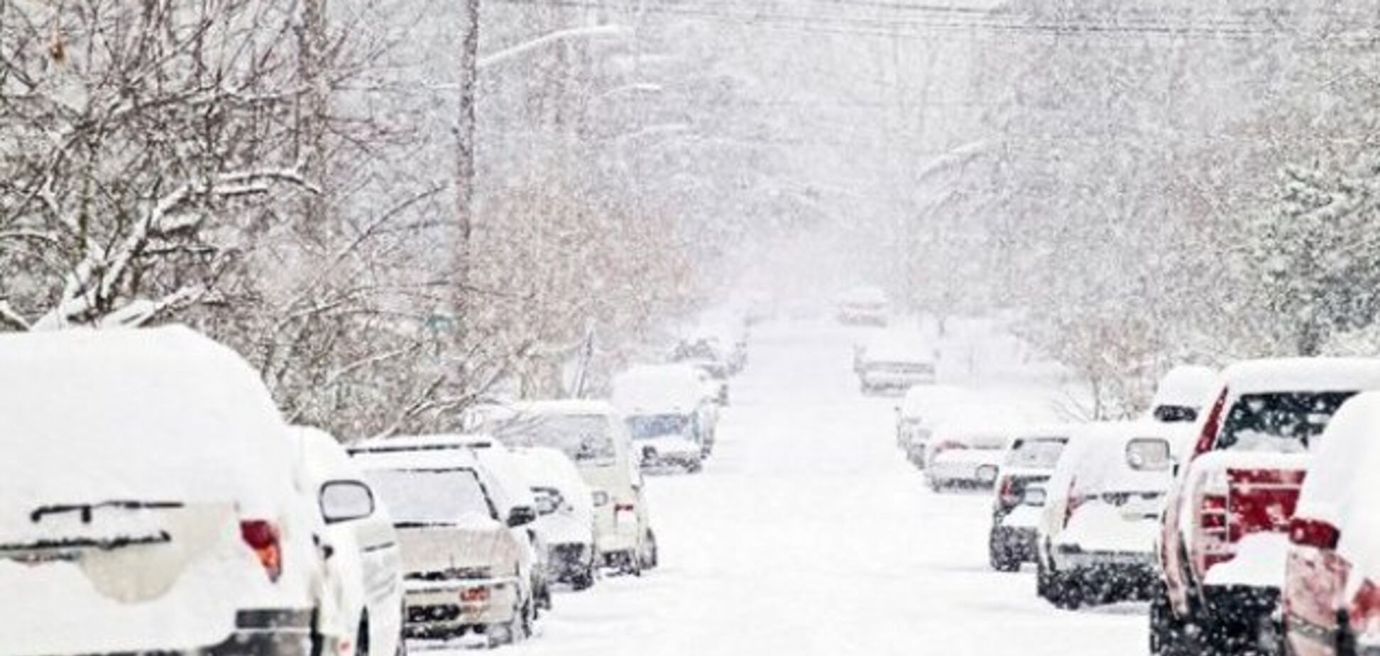 Засыплет всю Украину: синоптики дали снежный прогноз на неделю