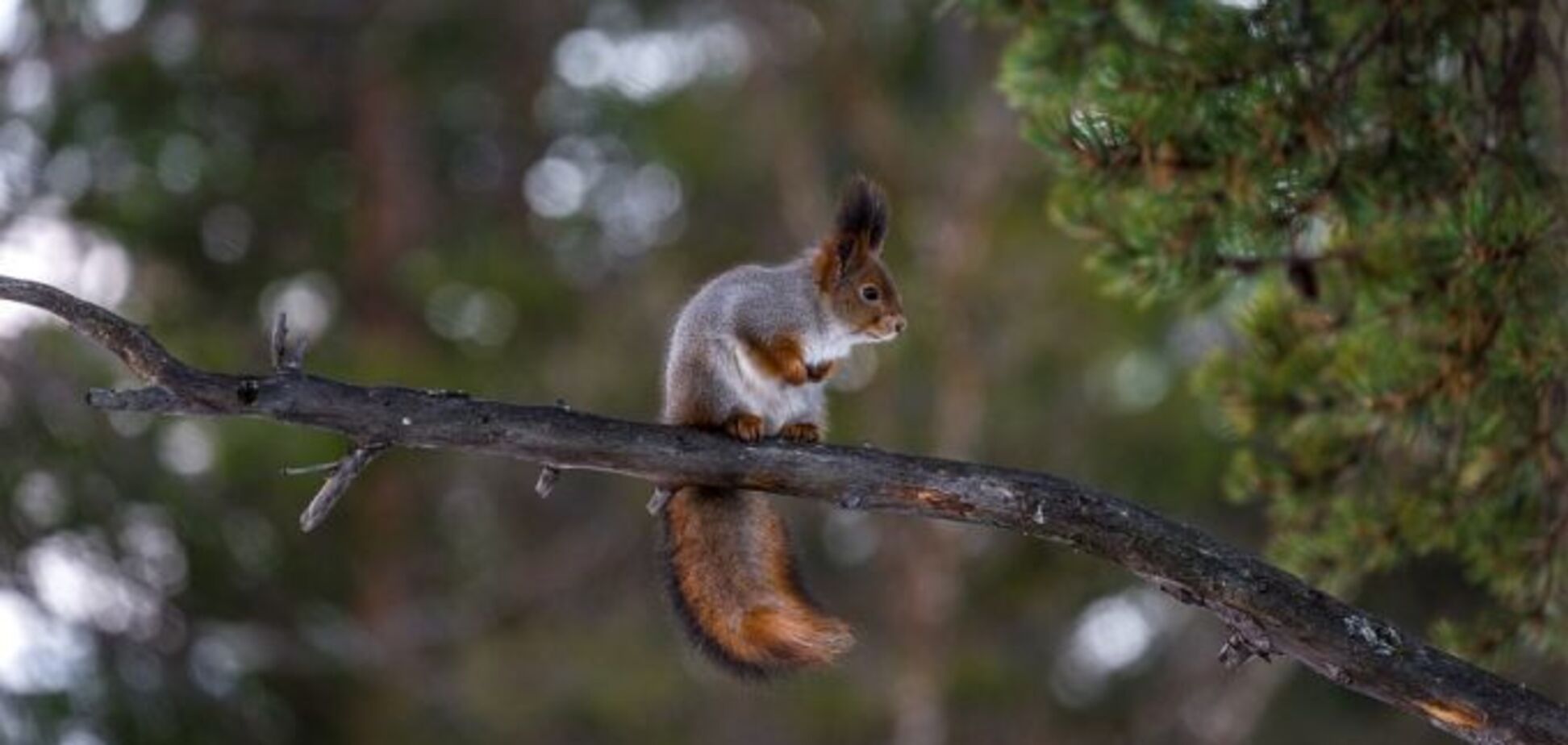 Накроет мощный антициклон: синоптики уточнили прогноз погоды по Украине