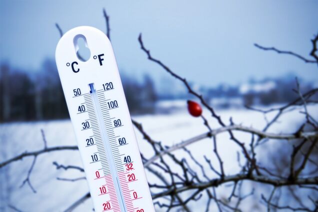 Морозы до -7 и шквальный ветер: синоптики дали прогноз до конца недели в Киеве