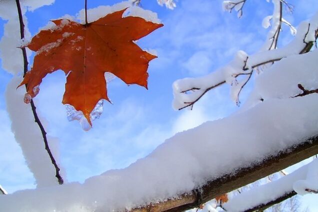 Мороз до -14: Украине пообещали температурные качели в ноябре