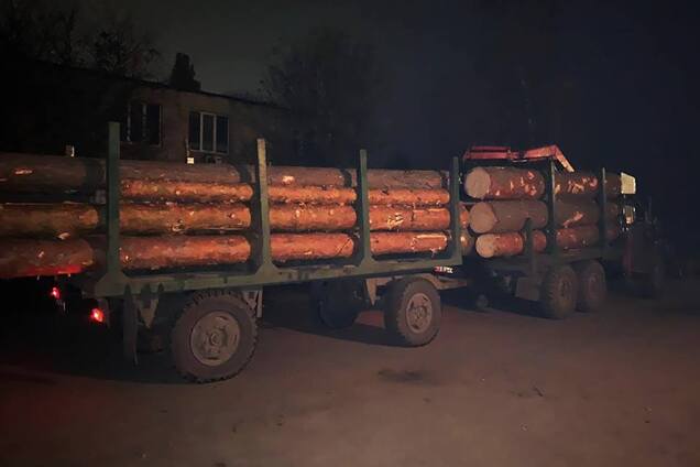 На Черкащині у військовому лісгоспі незаконно рубали ліс