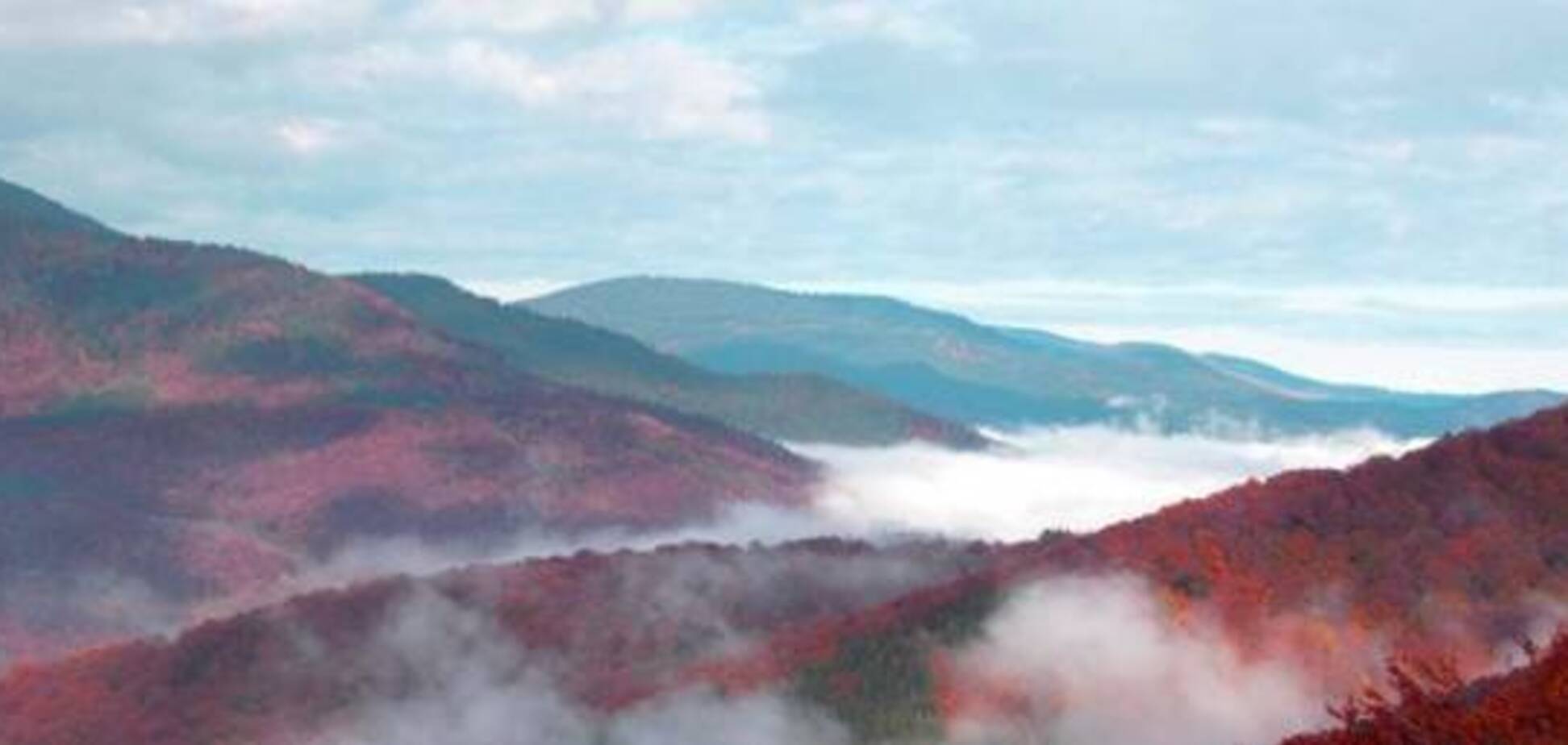 Оповиті туманом: у мережі опублікували барвисті фото Карпат