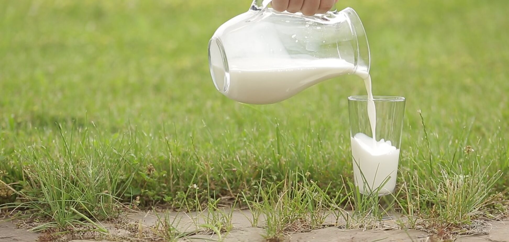 Як правильно вибрати в магазині молоко: товарознавець дала пораду