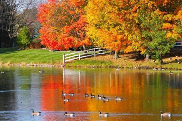 Дощі підкрадаються: синоптики уточнили свіжий прогноз погоди в Україні