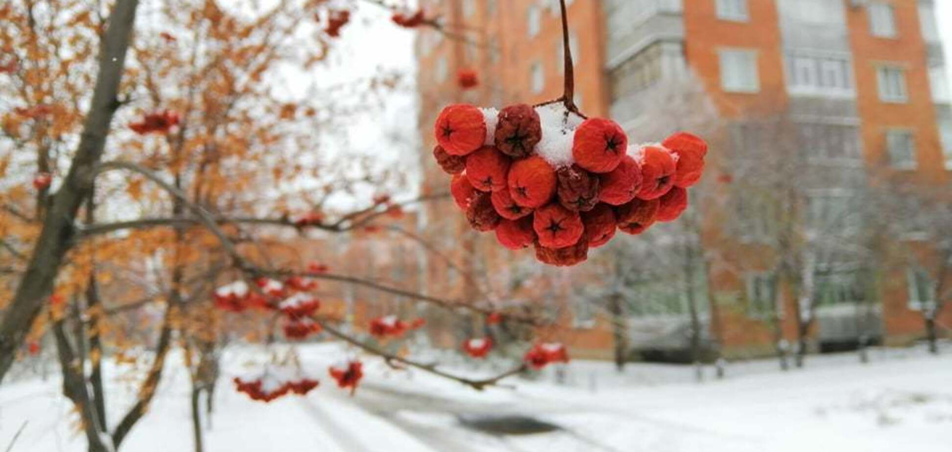 Полтаву засыпало снегом: опубликовано сказочные фото