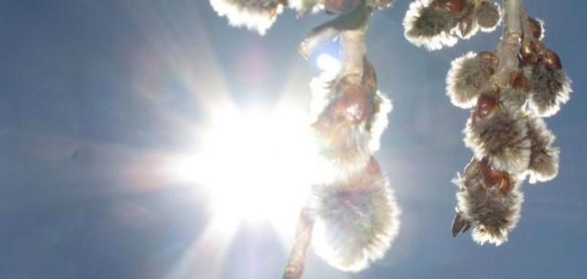 Идет холодный антициклон: синоптик уточнила прогноз по Украине