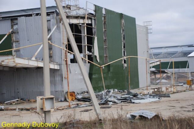 Стадо русскоговорящих мародеров: как ''освободили'' рынок ''Господар''