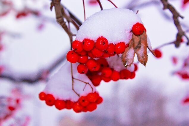 Мороз до -8: синоптики дали прогноз по похолоданию в Украине