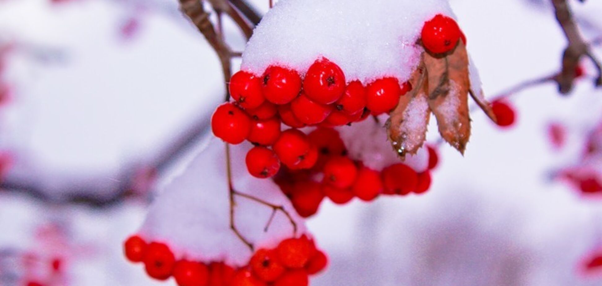 Мороз до -8: синоптики дали прогноз із похолодання в Україні
