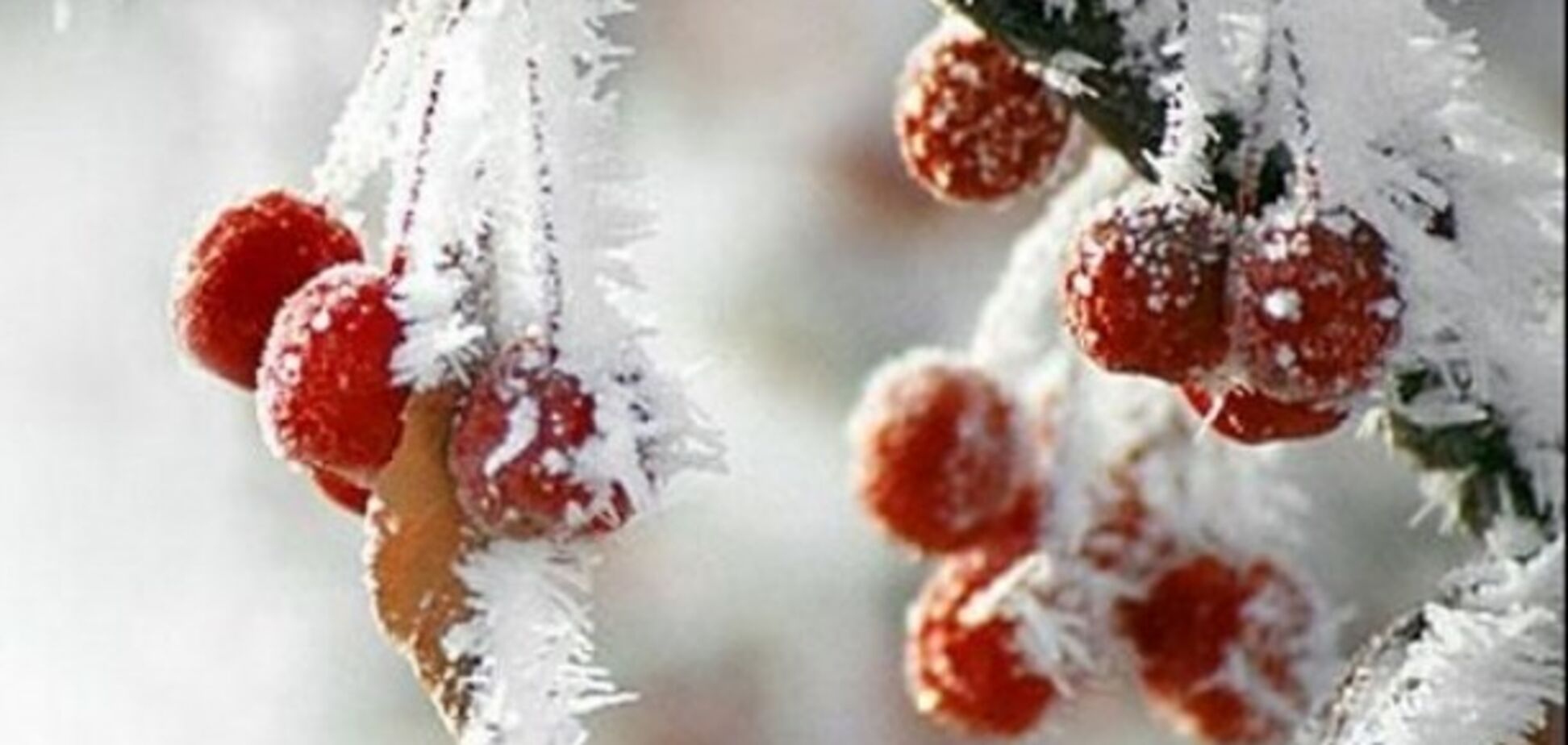 Снегопады и шквальный ветер: синоптики уточнили прогноз по Украине