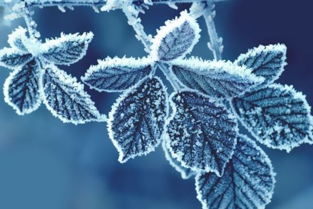 Мороз в Украине