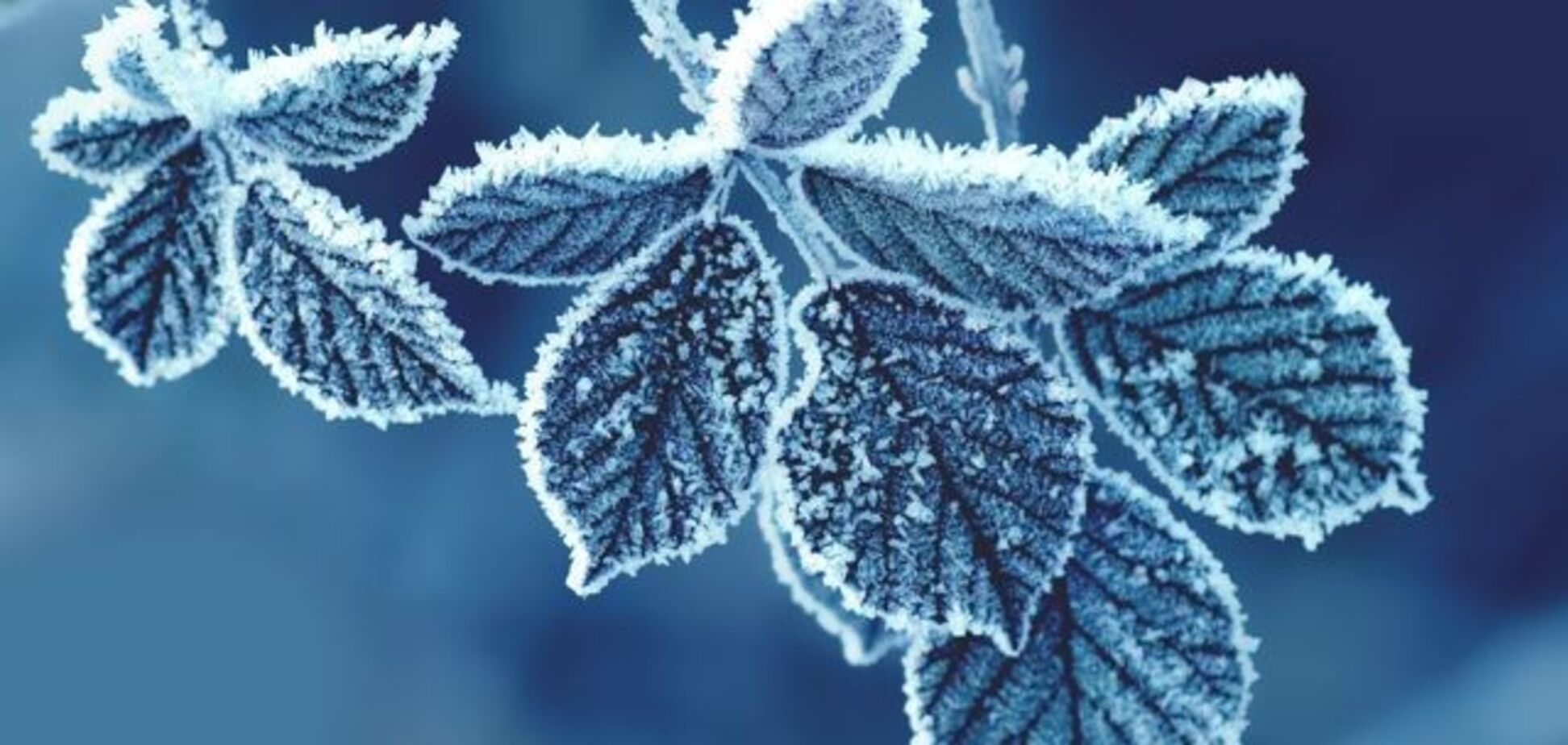 Мороз в Україні