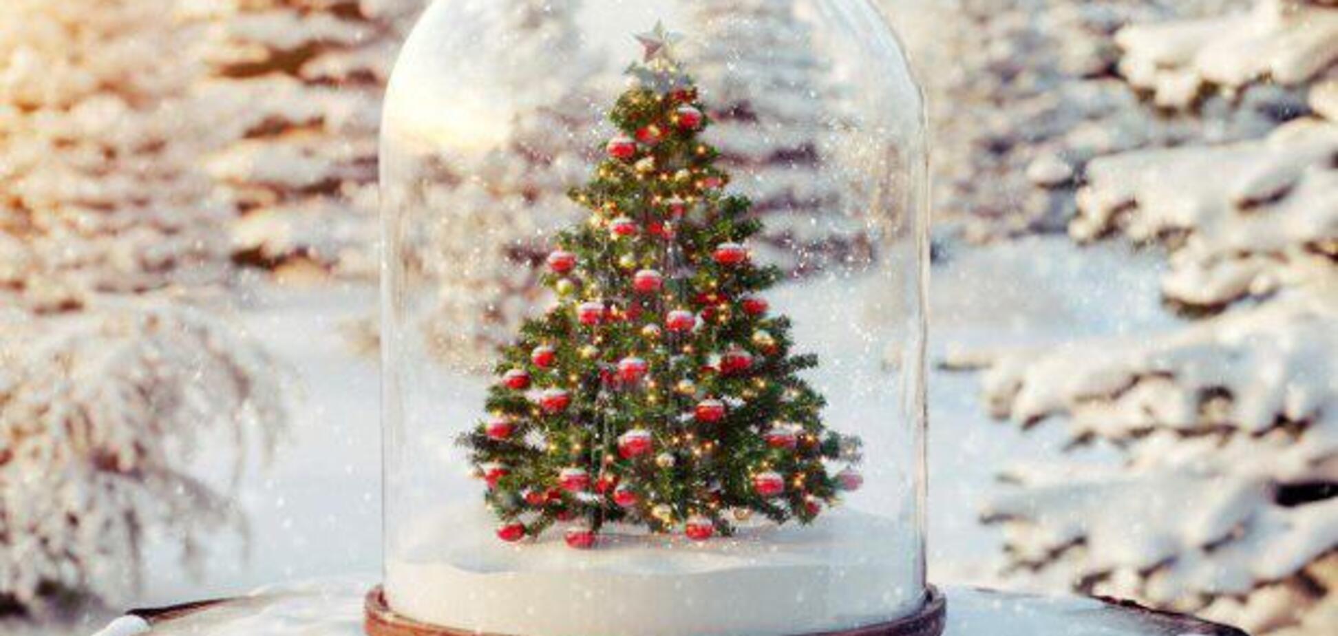 Унікальні гірлянди і північне сяйво: як виглядатиме головна ялинка країни. Фото