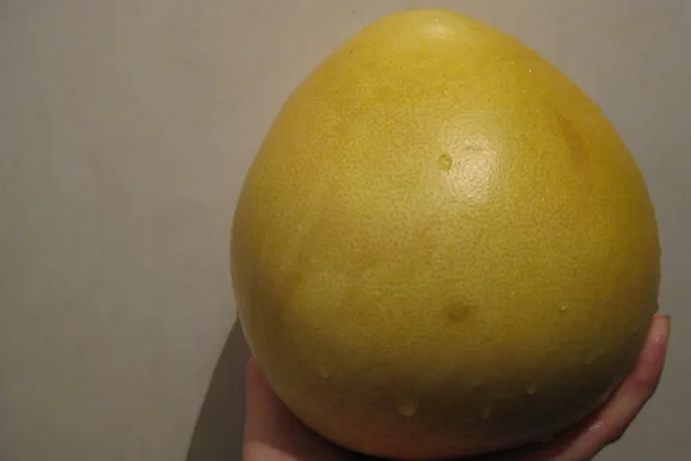 Помело