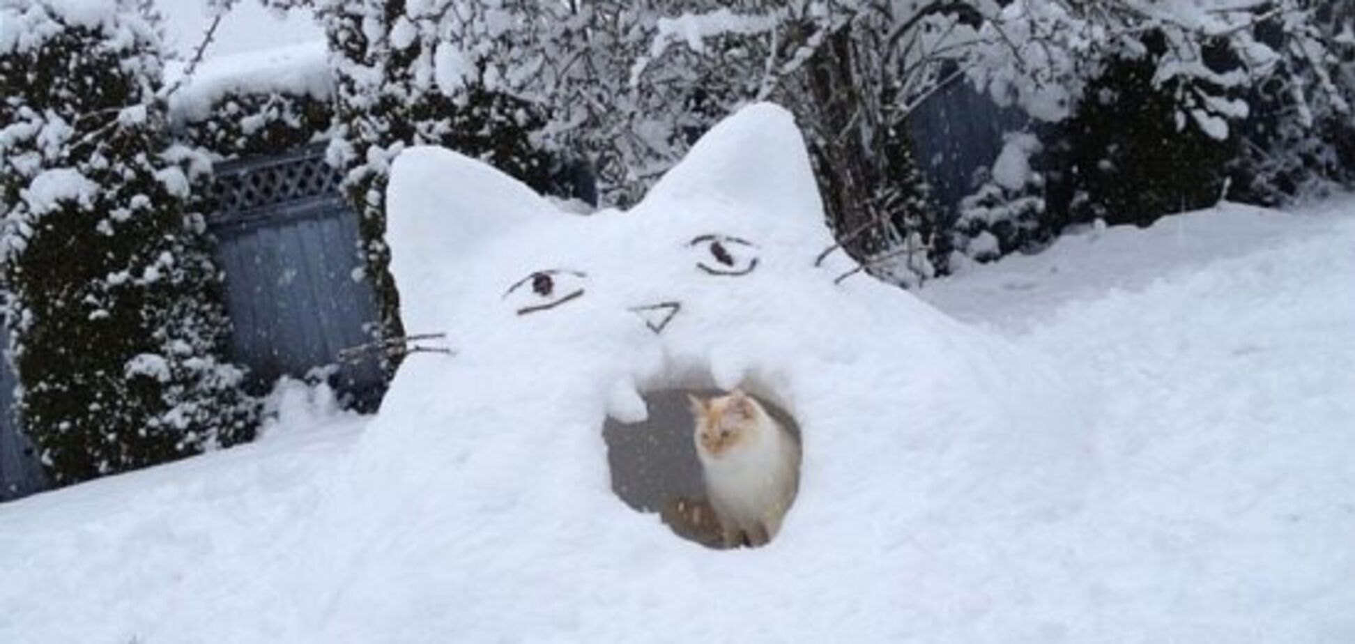 Накроет снежный циклон: синоптик дала прогноз по Украине